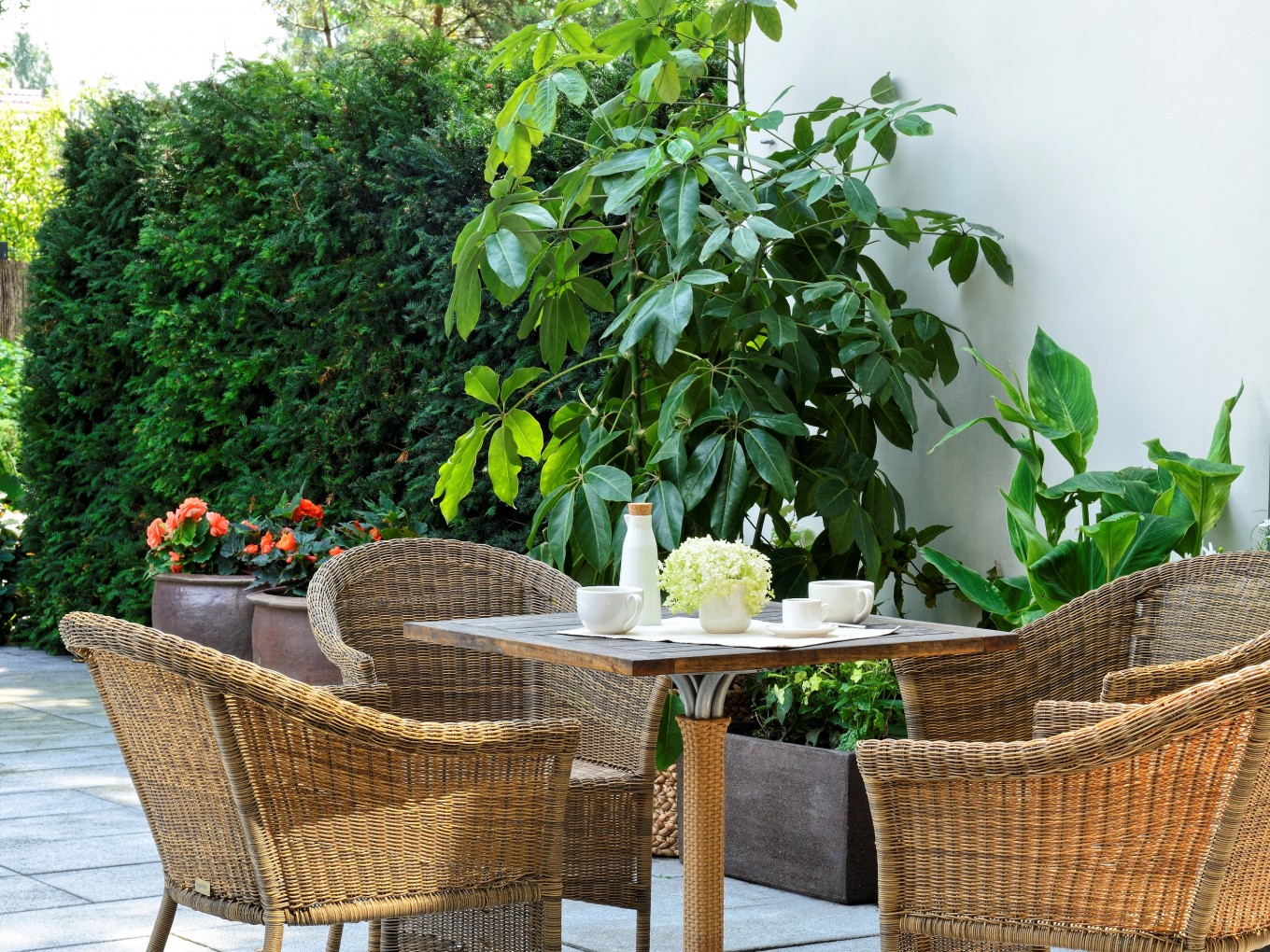 Projekty ogrodów - Ogród miejski :: JMSA - biuro architektoniczne, architekci Magdalena Ignaczak, Jacek Kunca