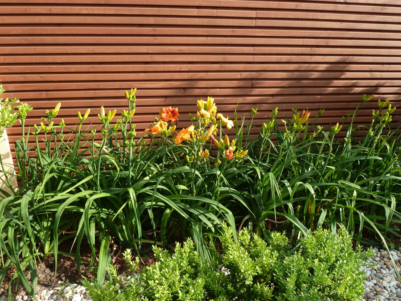 Projekty ogrodów - Ogród miejski :: JMSA - biuro architektoniczne, architekci Magdalena Ignaczak, Jacek Kunca