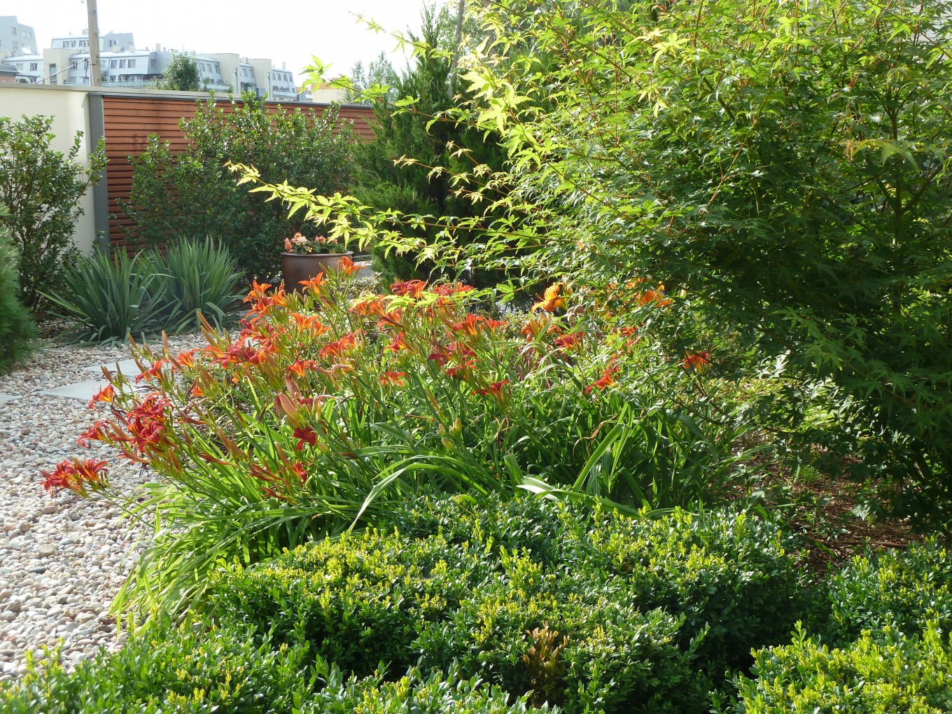 Projekty ogrodów - Ogród miejski :: JMSA - biuro architektoniczne, architekci Magdalena Ignaczak, Jacek Kunca