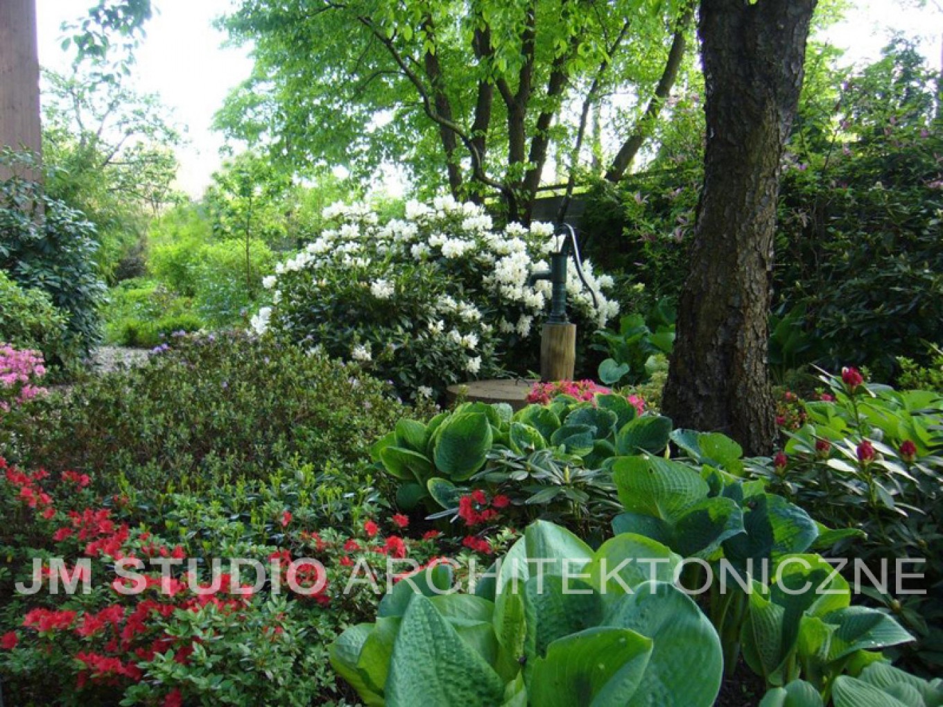 Projekty ogrodów - Ogród japoński :: JMSA - biuro architektoniczne, architekci Magdalena Ignaczak, Jacek Kunca