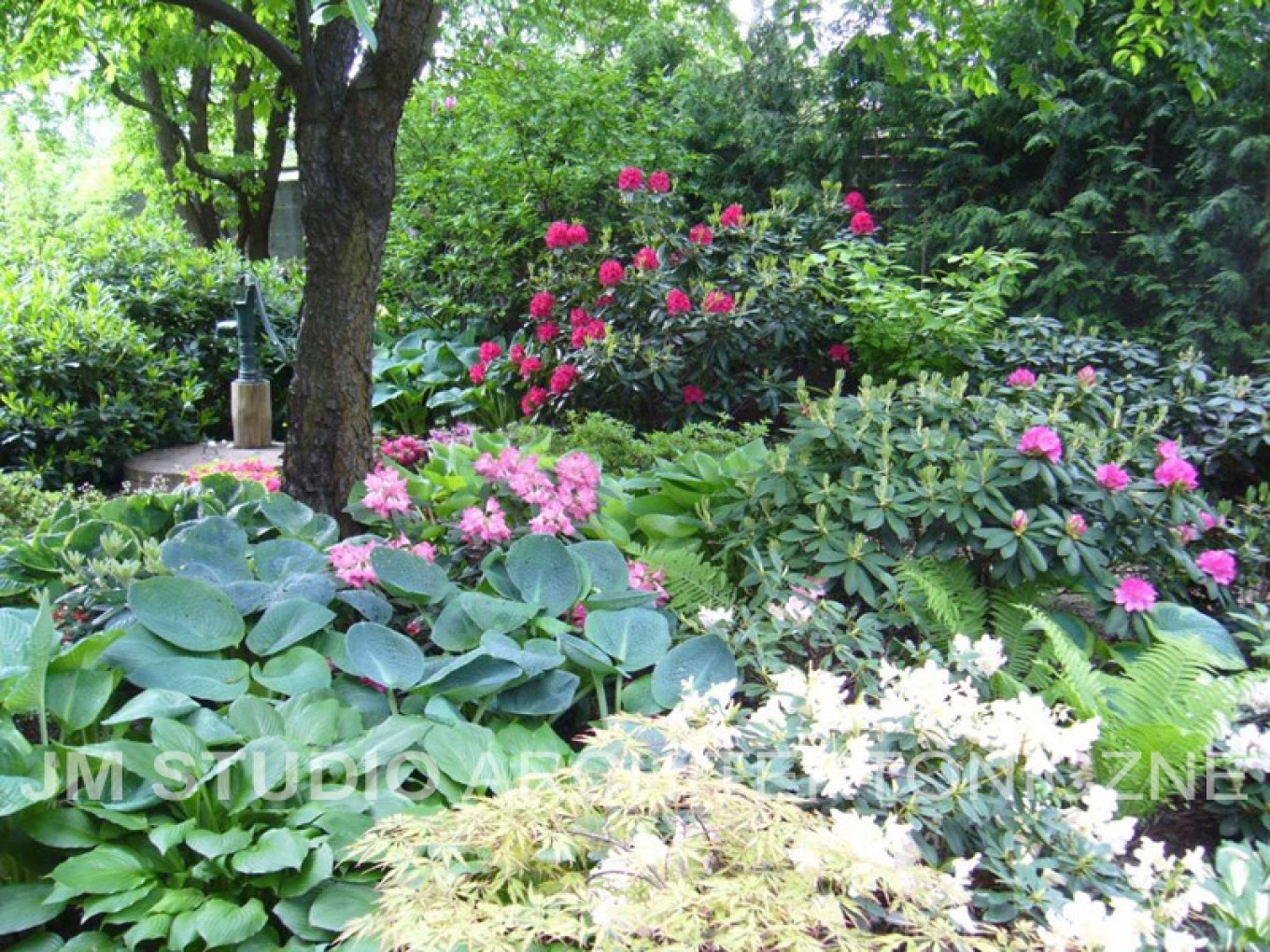 Projekty ogrodów - Ogród japoński :: JMSA - biuro architektoniczne, architekci Magdalena Ignaczak, Jacek Kunca