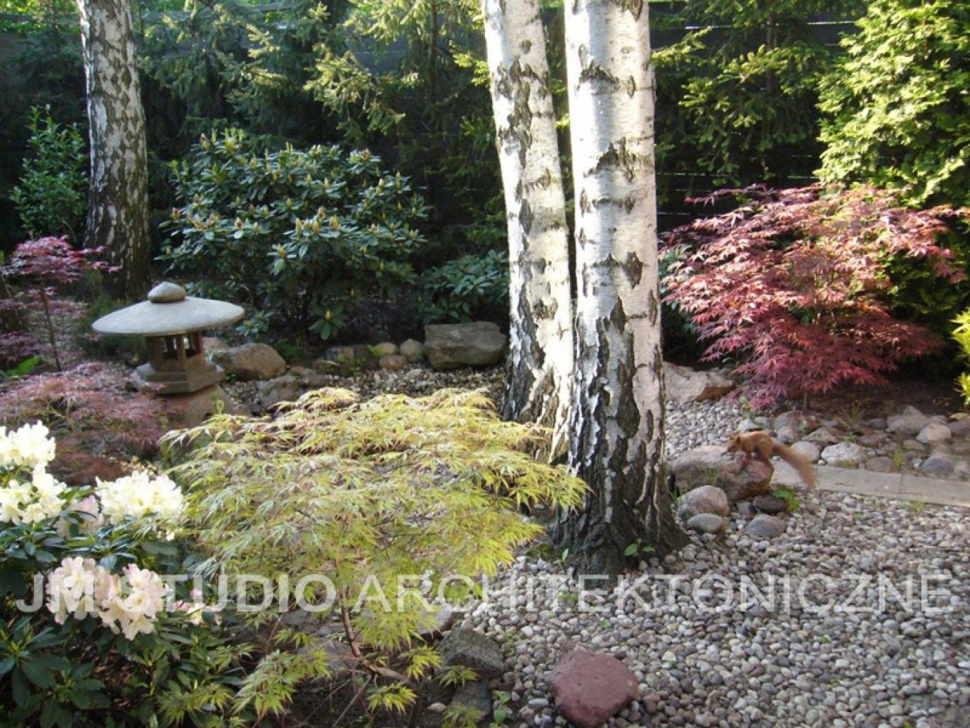 Projekty ogrodów - Ogród japoński :: JMSA - biuro architektoniczne, architekci Magdalena Ignaczak, Jacek Kunca